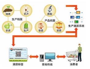 智慧農業新篇章 蔬菜種子二維碼溯源與支付結算一體化系統