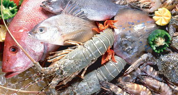 平陽人有口福了！8月1日起新鮮海產上市，各類海魚豐富餐桌