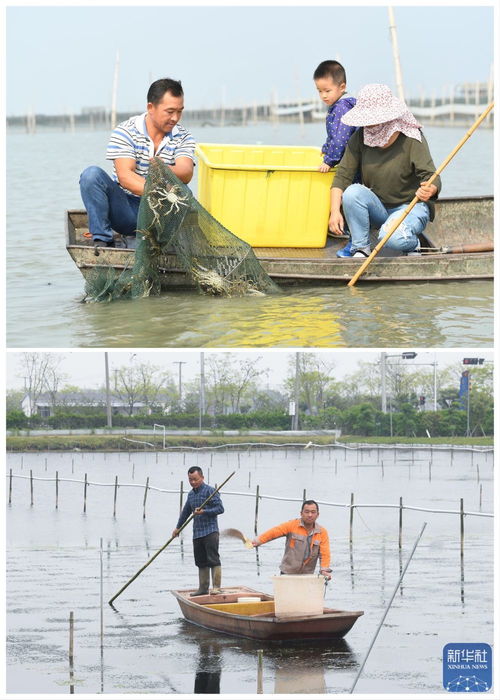 綠色太湖譜新篇 水清岸綠民富，汽車裝飾用品銷售助力生態經濟